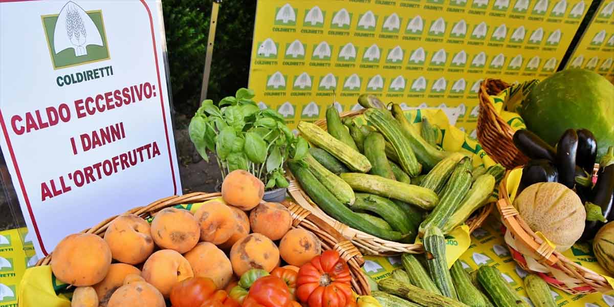 L'ondata di calore sta ustionando frutta e verdura